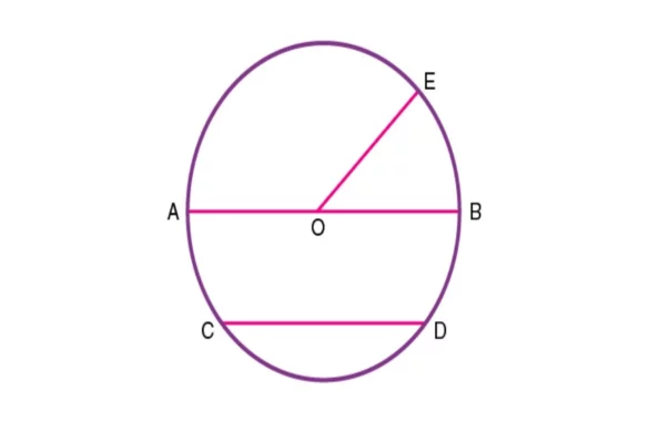 Sector and Chord in a Circle